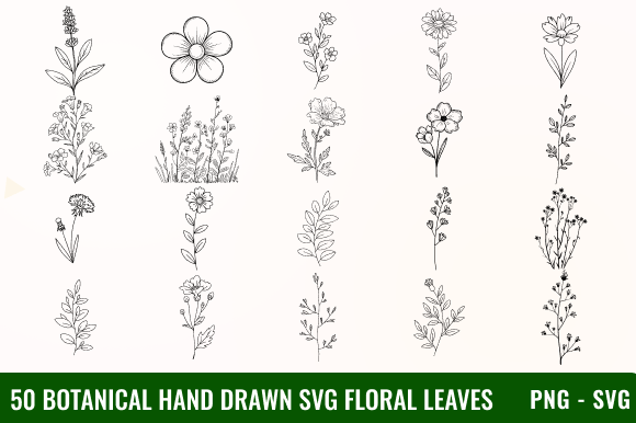 50 Botanical Hand Drawn SVG Floral Leave Review