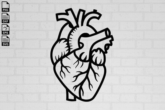 Anatomical Heart Svg, Floral Heart Svg Review for Real Embroidery