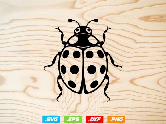 Floral Ladybug Svg, Cute Ladybug Svg Review for Embroidery